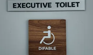 Gallery Executive Toilet 2 disable