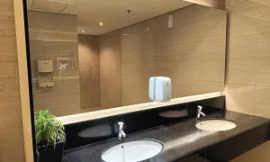Gallery Executive Toilet 1 handsoap_dispenser